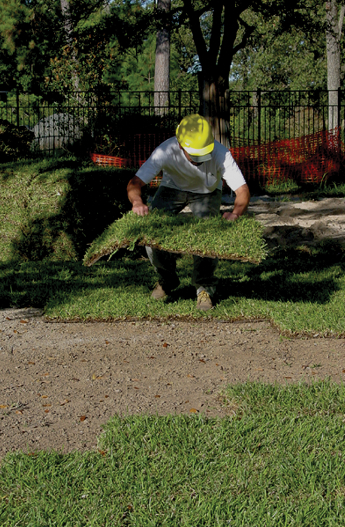 Hermann Park Sod installation