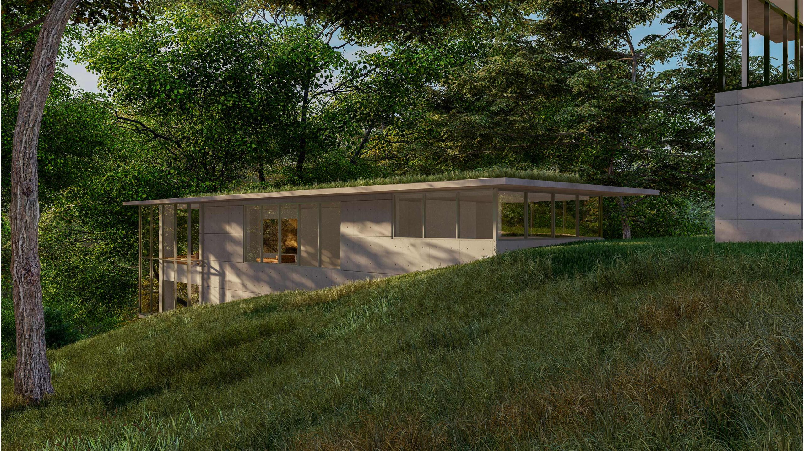 Buried Treehouse | Jay Baker Architects